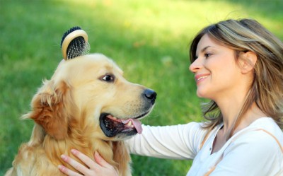 How-to-Brush-Mats-Out-Of-Dog-Hair-400x249